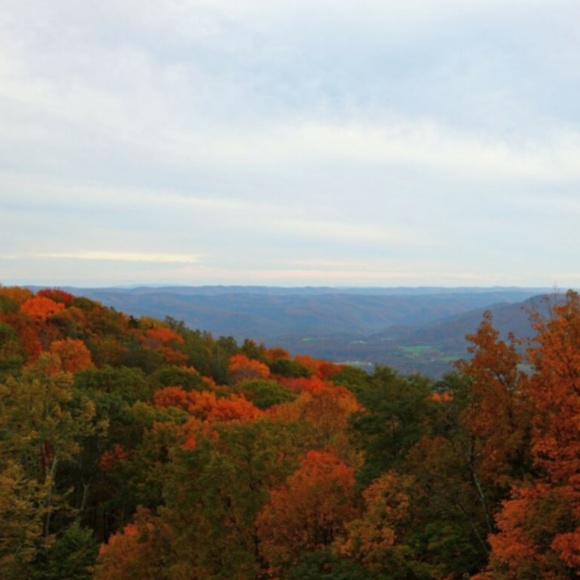 Jimbo & G - Posh' Mentor - Picture 2 of 8